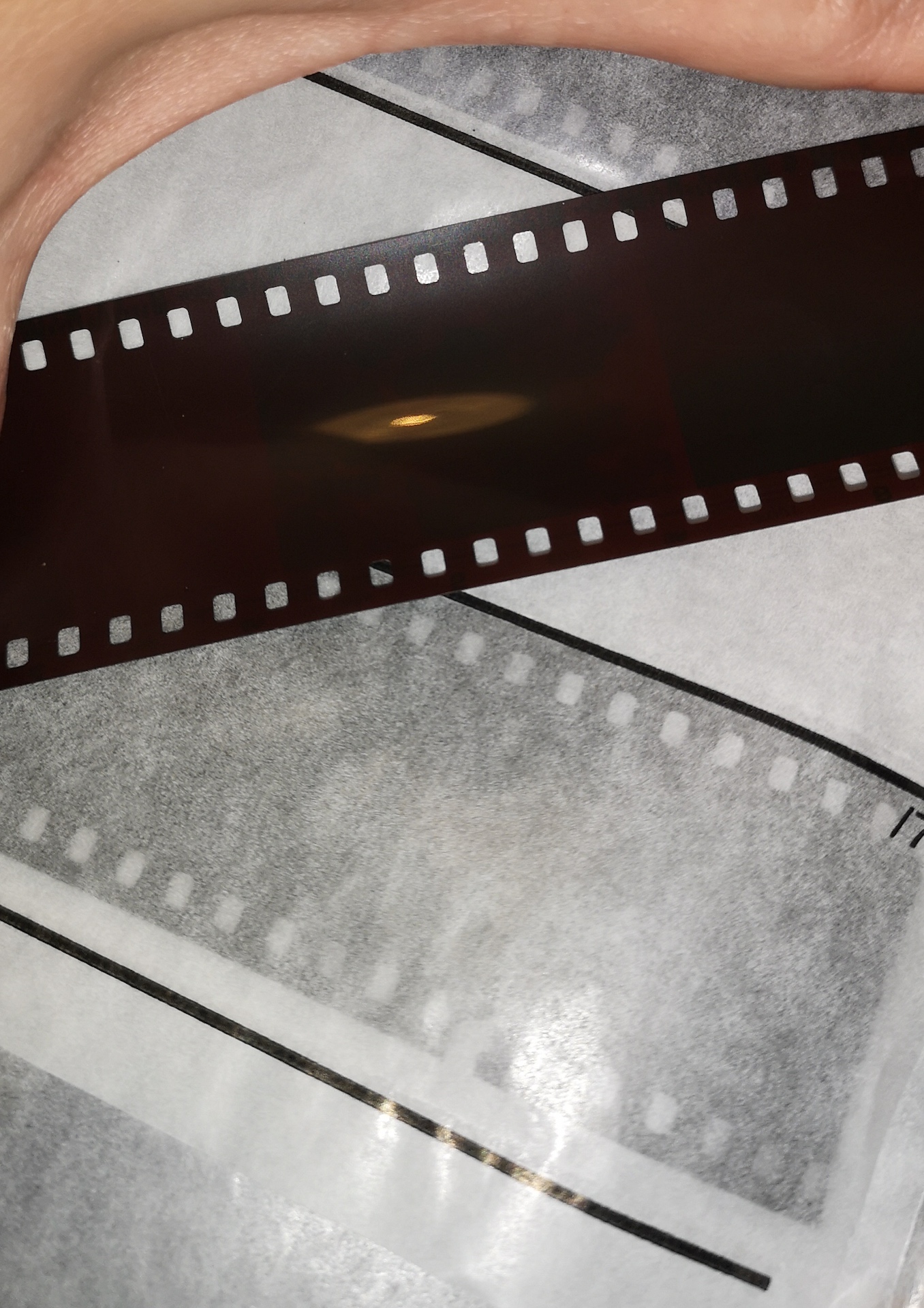 Processing C41 Colour film in Black and White Chemicals. Camera Go Camera